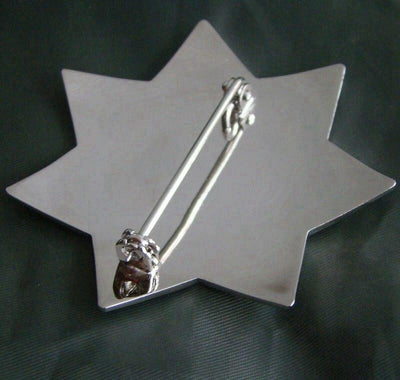 Insignia vintage de la policía estadounidense