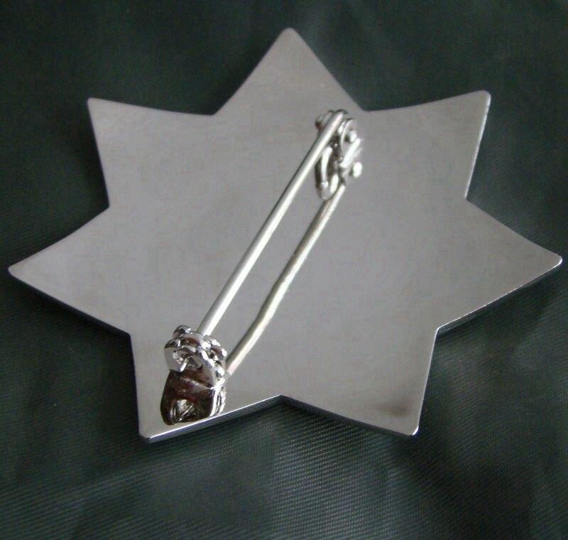 Insignia vintage de la policía estadounidense