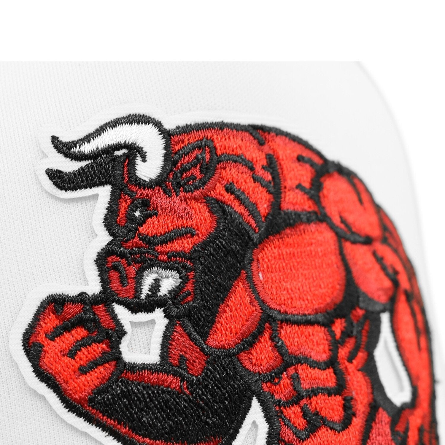 Gorra Chicago Bulls Vintage