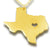 Collar vintage de Texas