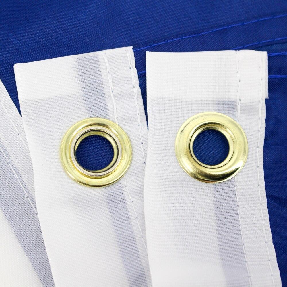 bandera vintage de carolina del sur