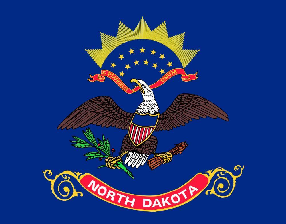 bandera vintage de dakota del norte