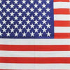 Bandera americana vintage Pañuelo