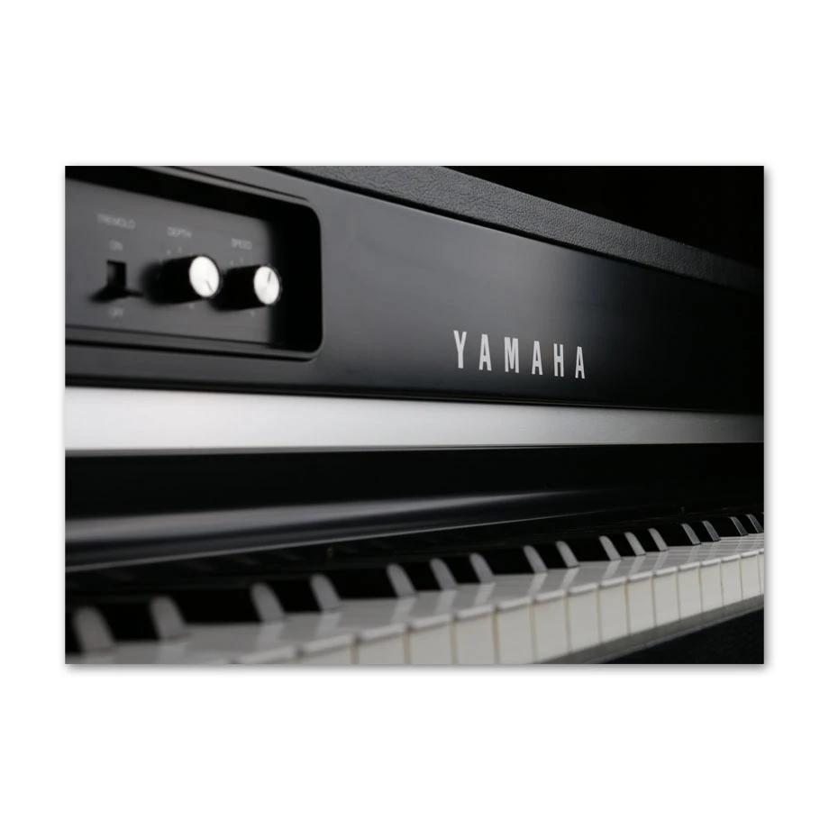 Pintura retro de la vendimia